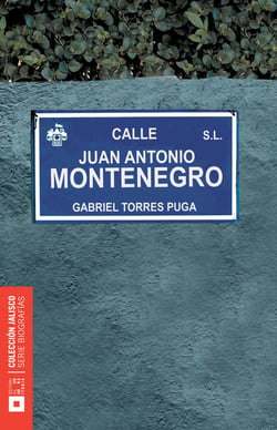 Juan Antonio Montenegro - Un joven eclesiástico en la Inquisición