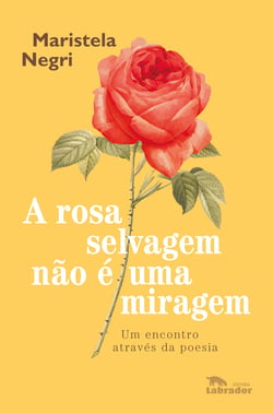 A rosa selvagem não é uma miragem - Um encontro através da poesia