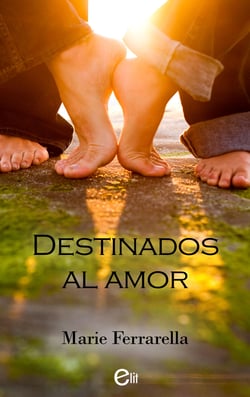 Destinados al amor - El mejor regalo para San Valentín, una novela de Harlequin