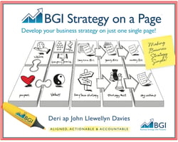 BGI Strategy On A Page