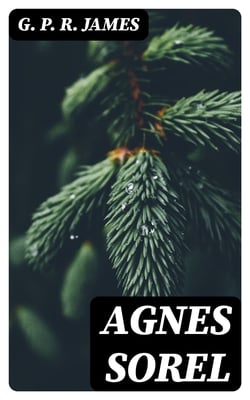 Agnes Sorel - A Novel
