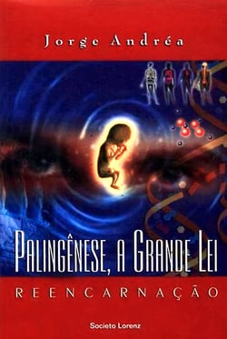 Palingênese, A Grande Lei - Reencarnação
