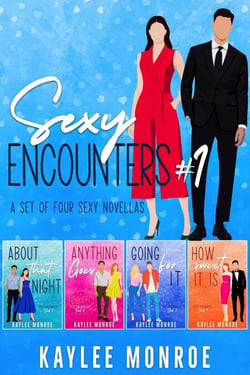 Sexy Encounters #1 (A Set of Four Sexy Novellas)