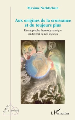 Aux origines de la croissance et du toujours plus - Une approche thermodynamique du devenir de nos sociétés