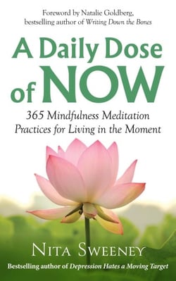 A Daily Dose of Now: 365 Mindfulness Meditation Practices for Living in the Moment