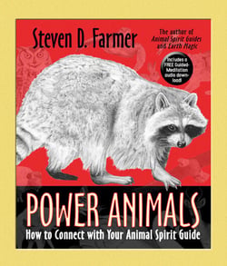 Power Animals - How to Connect with Your Animal Spirit Guide