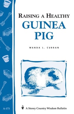 Raising a Healthy Guinea Pig - Storey's Country Wisdom Bulletin A-173