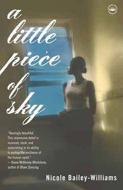 A Little Piece of Sky - A Novel