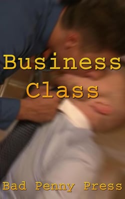 Business Class - Working Stiffs, #3