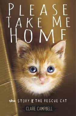 Please Take Me Home - The Story of the Rescue Cat