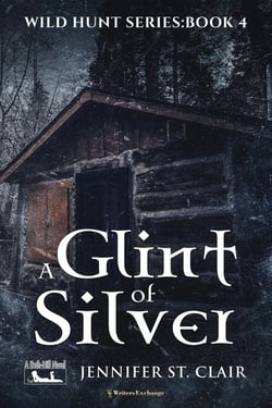 A Glint of Silver - A Beth-Hill Novel: Wild Hunt, #4