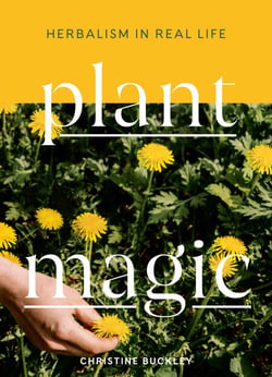 Plant Magic - Herbalism in Real Life
