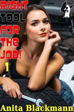 Right Tool for the Job! 1 - Right Tool for the Job!, #1