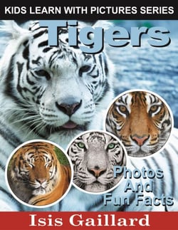 Tigers Photos and Fun Facts for Kids - Kids Learn With Pictures, #25