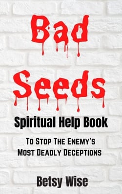 Bad Seeds Spiritual Help Book: To Stop the Enemy's Most Deadly Deceptions