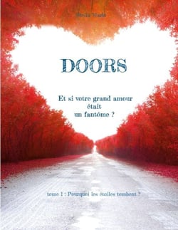 Doors - tome 1 : Pourquoi les étoiles tombent ?