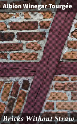 Bricks Without Straw - A Novel