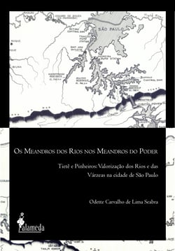 Os meandros dos rios nos meandros do poder - Tietê e Pinheiros: valorização dos rios e das várzeas na Cidade de São Paulo