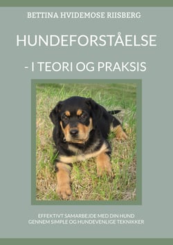 Hundeforståelse - - I teori og praksis