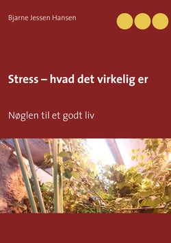 Stress – hvad det virkelig er - Nøglen til et godt liv