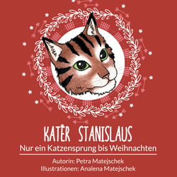 Kater Stanislaus - Nur ein Katzensprung bis Weihnachten