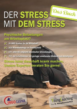 Der Stress mit dem Stress - Das Buch zum Seminar