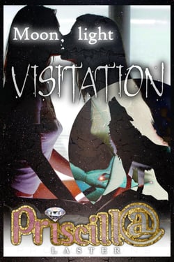 Moonlight Visitation