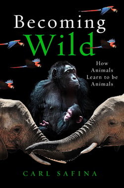 Becoming Wild - How Animals Learn to be Animals