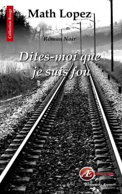 Dites-moi que je suis fou - Roman noir