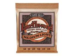 Earthwood phosphor bronze medium light