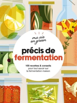 Ma  vie en green - Précis de fermentation - 100 recettes &amp; conseils pour tout savoir sur la fermentation maison