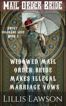 Widowed Mail Order Bride Makes Illegal Marriage Vows - The Murphy Cowboy Brothers Looking For Love: Sweet Colorado Love, #2