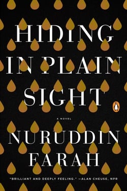 Hiding in Plain Sight - A Novel
