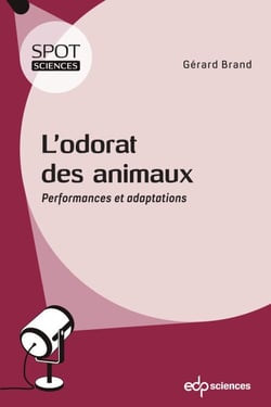 L’odorat des animaux - Performances et adaptations