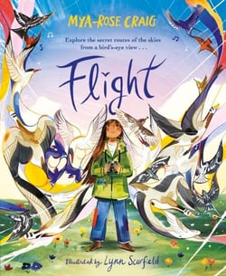Flight - Explore the secret routes of the skies from a bird's-eye view…