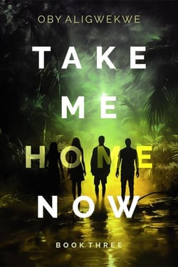 Take Me Home Now 3 - TAKE ME HOME NOW, #3