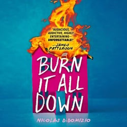 Burn It All Down