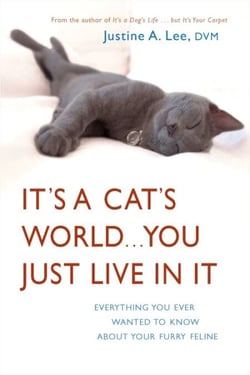 It's a Cat's World . . . You Just Live in It - Everything You Ever Wanted to Know About Your Furry Feline