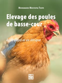 Elevage des poules de basse-cour - Au Sénégal et en Afrique