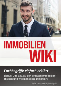 Immobilien Wiki: Fachbegriffe einfach erklärt - Bonus: Das 1x1 zu den größten Immobilien Risiken und wie man diese minimiert