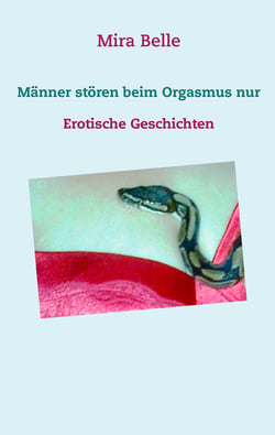 Männer stören beim Orgasmus nur - Erotische Geschichten