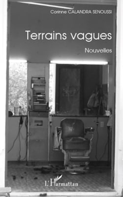 Terrains vagues - Nouvelles