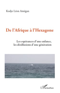 De l'Afrique à l'hexagone - Les espérances d'une enfance, les désillusions d'une génération