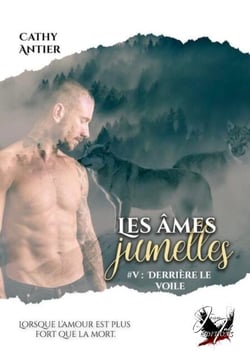 Les âmes jumelles - Tome 5 - Derriere le voile