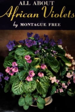 All About African Violets: The Complete Guide to Success With Saintpaulias
