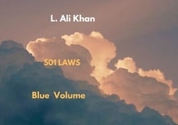 501 Laws Blue Volume - 501 Laws, #1