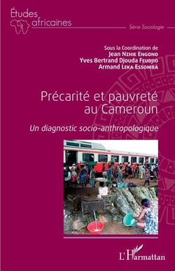 Précarité et pauvreté au Cameroun - Un diagnostic socio-anthropologique