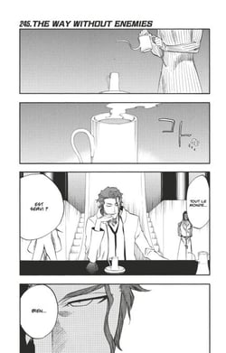 Bleach - T28 - Chapitre 245 - THE WAY WITHOUT ENEMIES