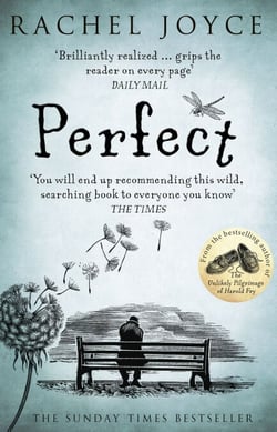 Perfect - The compelling and emotional Sunday Times bestseller