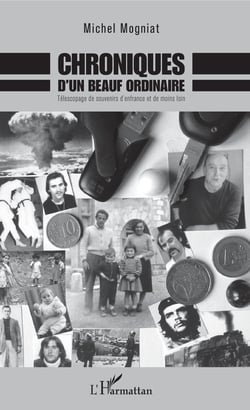 Chroniques d'un beauf ordinaire - Télescopage de souvenirs d'enfrance et de moins loin